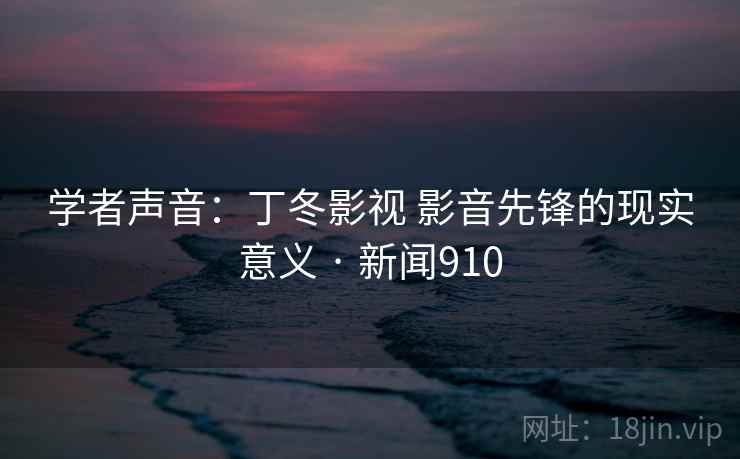 学者声音：丁冬影视 影音先锋的现实意义 · 新闻910