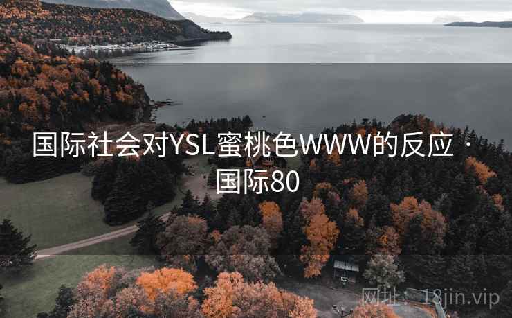 国际社会对YSL蜜桃色WWW的反应 · 国际80  第2张